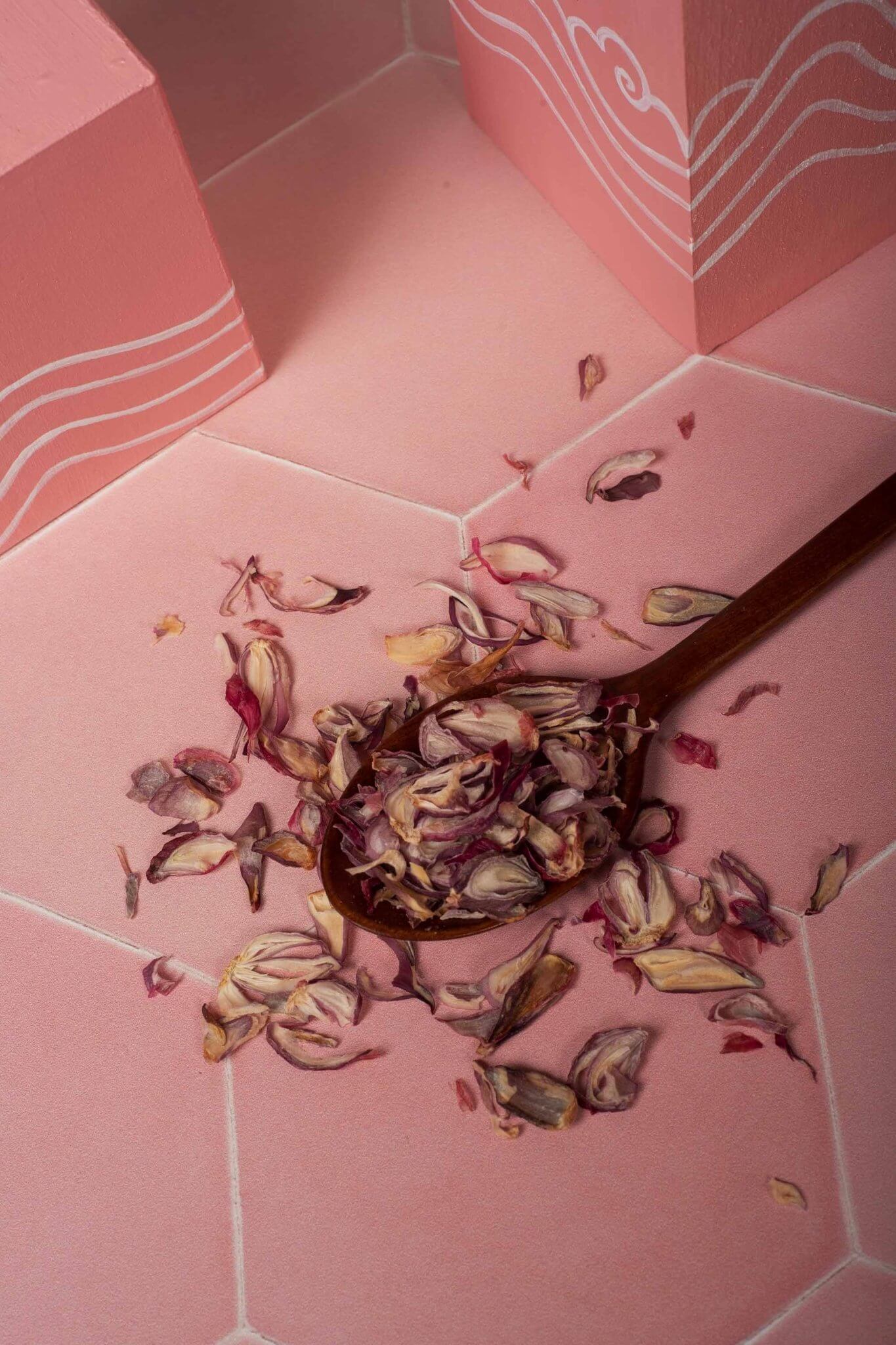 Coastal Purple Shallot