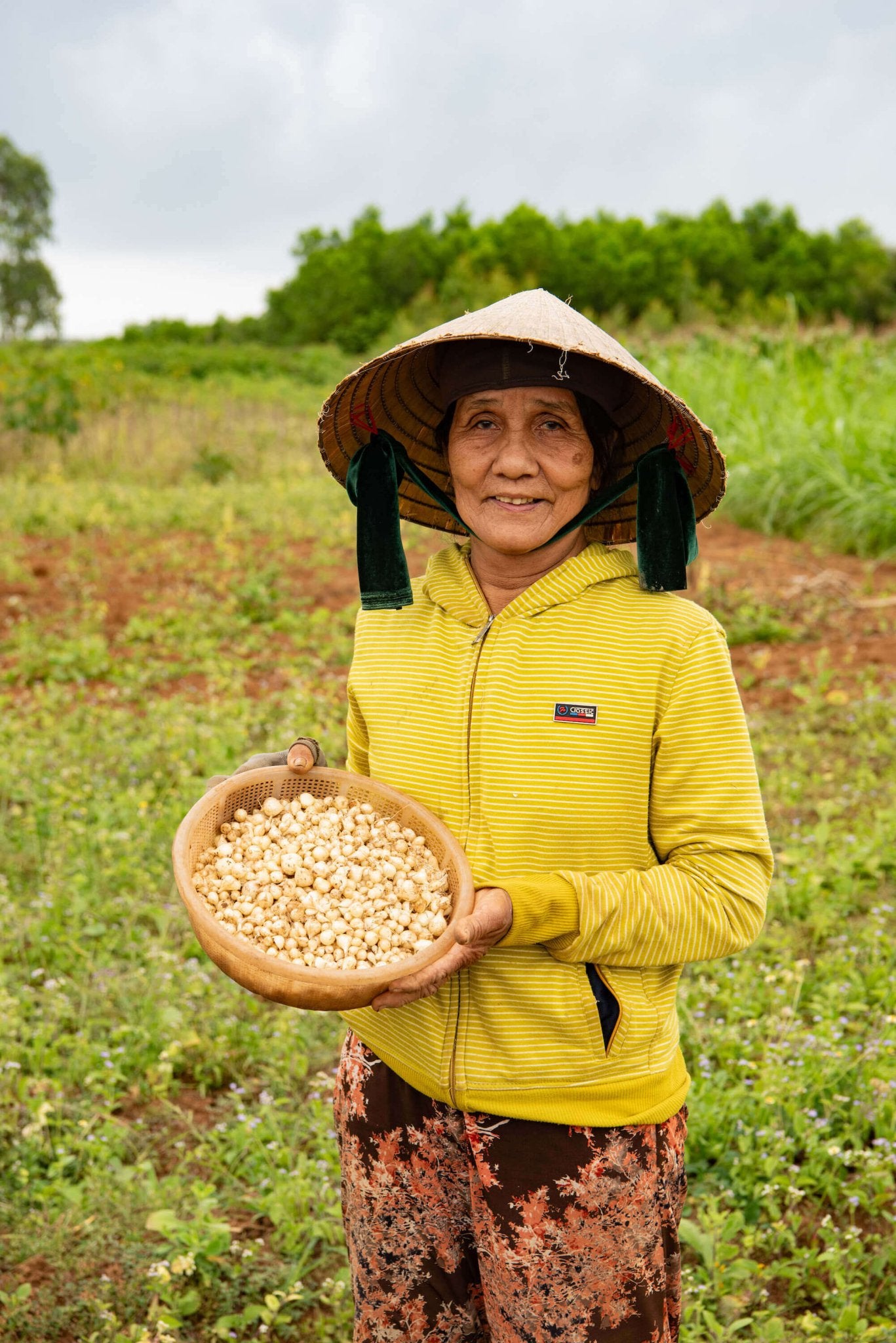 Bang Bang Onion (củ nén) - Vân Vân - Buy Vietnamese Herbs