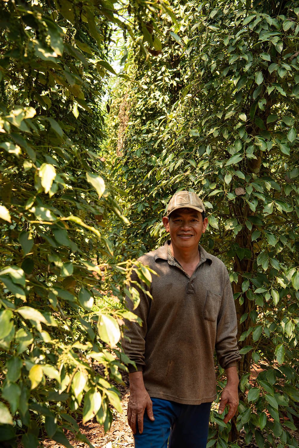 Bazan Pepper - Vân Vân - Buy Vietnamese Herbs