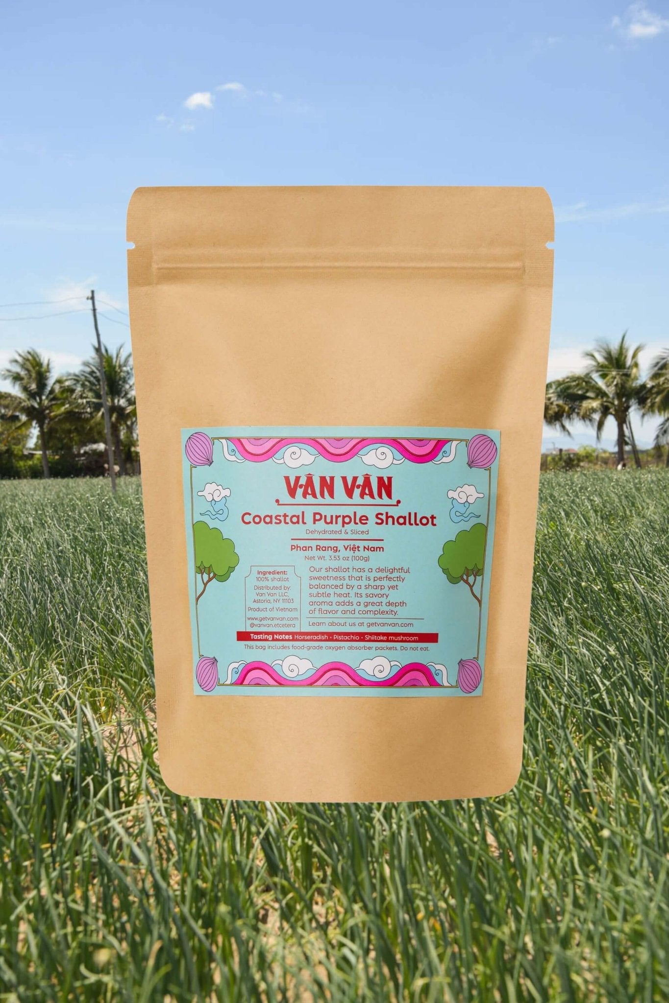 Coastal Purple Shallot - Vân Vân - Buy Vietnamese Herbs
